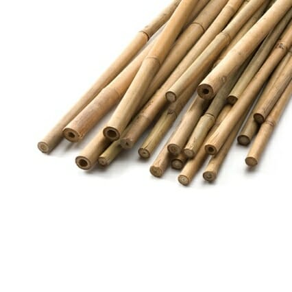 Bambusová tyč 120 cm, hrúbka 10 mm. image