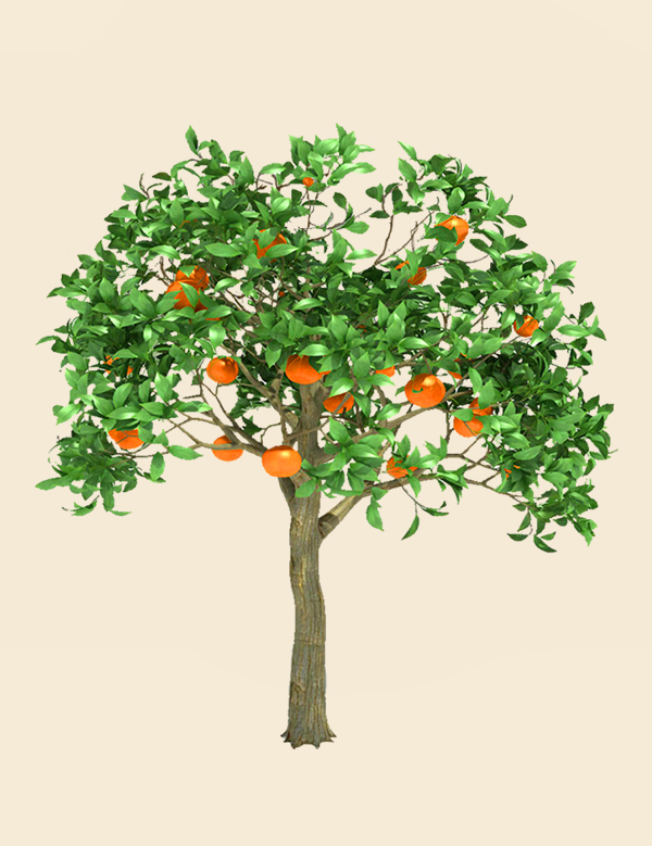 Ovocné stromy